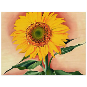 Georgia OKeeffe  A Sunflower from Maggie Wood Print