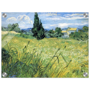 Vincent van Gogh  Green Wheat Field with Cypress Acrylic Print