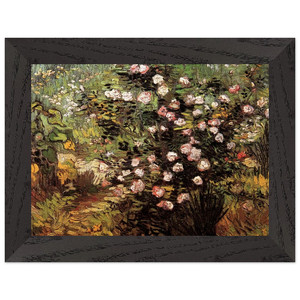 Vincent van Gogh  Rosebush in Blossom Premium Wooden Framed Art Print / Poster