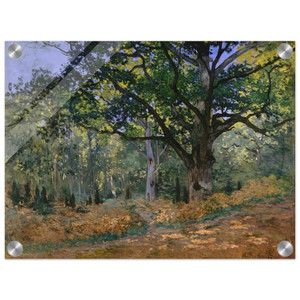 claude monet  The Bodmer Oak Fontainebleau Acrylic Print