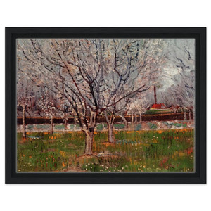 Vincent van Gogh  Orchard in Blossom Plum Trees Framed Canvas