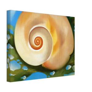 Georgia OKeeffe  Pink Shell with Seaweed Canvas