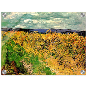 Vincent van Gogh  Wheat Field with Cornflowers Acrylic Print