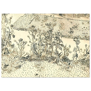 Vincent van Gogh  Thistles Along the Roadside Fine Art Poster / Art Print