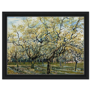 Vincent van Gogh  Orchard with Blossoming Plum Trees Framed Canvas