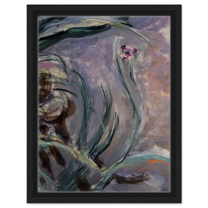 claude monet  Irises Framed Canvas