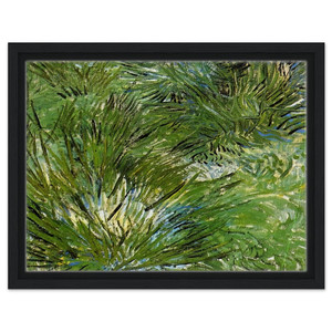 Vincent van Gogh  Clumps of Grass Framed Canvas