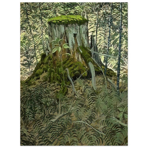 Neil Welliver  Stump and Ferns  Contemporary Realism Wood Print