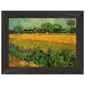 Vincent van Gogh Arles Irises Foreground Premium Wood Framed Art Print Poster