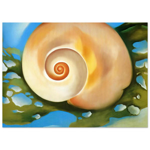 Georgia OKeeffe  Pink Shell with Seaweed Fine Art Poster / Art Print