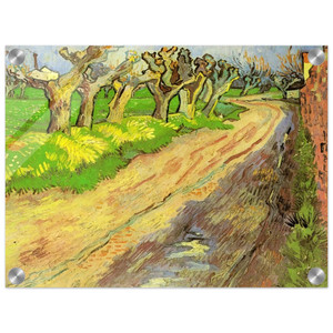 Vincent van Gogh  Pollard Willows Acrylic Print