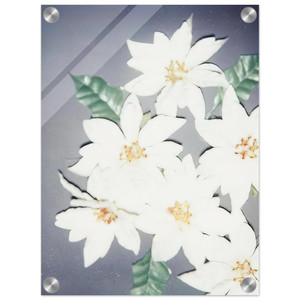 Andy Warhol  Christmas PoinsettiasWhite Acrylic Print