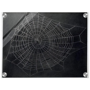 Vija Celmins  UNTITLED SPIDER WEB 2000 Acrylic Print