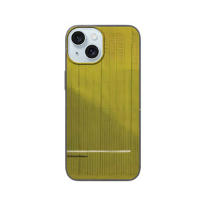 Bice Lazzari - Grigio  Giallo Gray and Yellow - 1966 Bio case