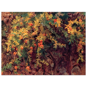 John Singer Sargent  Pomegranates Aluminum Print