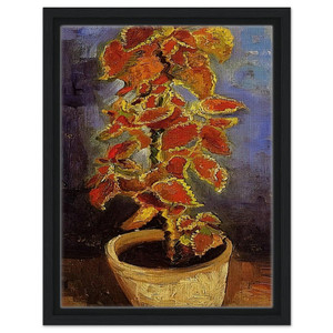 Vincent van Gogh  Coleus Plant in a Flowerpot Framed Canvas