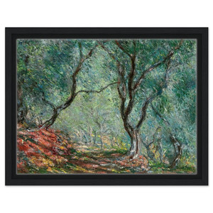 claude monet  Olive Tree Wood in the Moreno Garden Framed Canvas