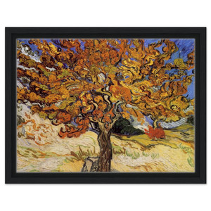 Vincent van Gogh  Mulberry Tree Framed Canvas