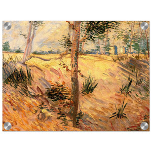 Vincent van Gogh  Trees in a Field on a Sunny Day Acrylic Print