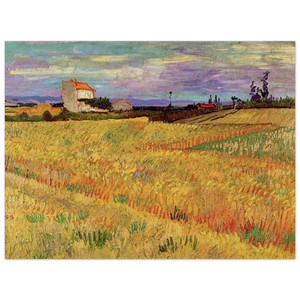 Vincent van Gogh  Wheat Field Wood Print