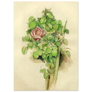 Paul Cezanne  Rose Bush Fine Art Poster / Art Print