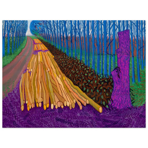 David Hockney  David Hockney N9 Wood Print