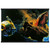 Chris Foss  Chris Foss N2 Museum-Quality Matte Paper Poster with Hanger