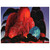Eyvind Earle  Blazing Glory Aluminum Print