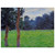 claude monet  Two Trees in a Meadow Aluminum Print