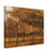 Vincent van Gogh  Landscape with Trees N2 Canvas