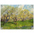 Vincent van Gogh  Orchard in Blossom Acrylic Print