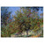 claude monet  Apple Trees on the Chantemesle Hill Fine Art Poster / Art Print