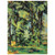 Paul Cezanne  Large Trees at Jas de Bouffan Aluminum Print