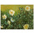 Vincent van Gogh  Wild Roses Aluminum Print