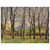 Paul Cezanne  Chestnut Trees at the Jas de Bouffan Aluminum Print