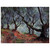 claude monet  Grove of Olive Trees in Bordighera Wood Print
