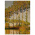 claude monet  Poplars Row in Autumn Wood Print