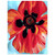 Georgia OKeeffe  Red Poppy VI Aluminum Print