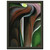 Georgia OKeeffe  JackinthePulpit V Premium Metal Framed Art Print / Poster