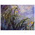 claude monet  Yellow Irises Aluminum Print