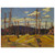 Tom Thomson  BURNT OVER FOREST 1916 Wood Print