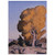 Maynard Dixon  LOW COUNTRY COTTONWOOD 1940 Fine Art Poster / Art Print