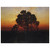 Arkhyp Kuindzhi  Evening N1 Wood Print