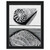 MC Escher  SEA SHELLS Framed Canvas