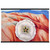 OKeeffe Red Hills White Flower Museum-Quality Matte Paper Poster with Hanger