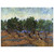 Vincent van Gogh  Olive Grove N2 Aluminum Print