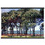 Claude Monet Pine Trees Cap dAntibes Matte Paper Poster with Hanger