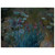 claude monet  Irises and WaterLilies Wood Print
