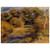 PierreAuguste Renoir  The Clearing Wood Print