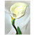Georgia OKeeffe  Calla Lily Turned Away Aluminum Print